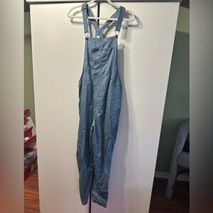 Aerie Blue Striped Denim Overalls